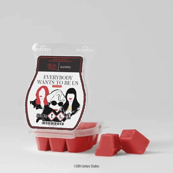 Everybody Wants to Be Us Scentsy Bar