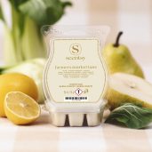 Farmer’s Market Lane Scentsy Bar Styled