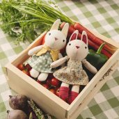 Fresh-picked Friends in Provence Lavender 1