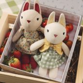 Fresh-picked Friends in Provence Lavender