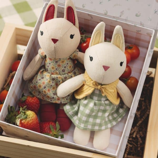 Fresh-picked Friends in Provence Lavender