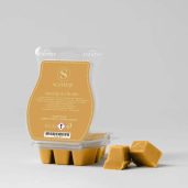 Marigold Fields Scentsy Wax Bar