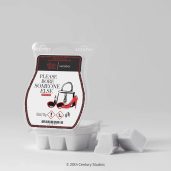 Please Bore Someone Else Scentsy Bar