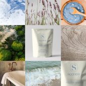 Wild Seaside Scentsy Soak Styled