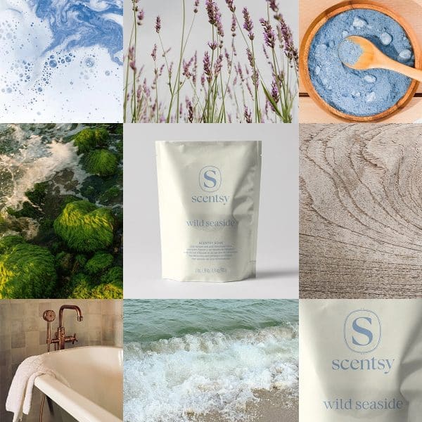 Wild Seaside Scentsy Soak Styled Wild Seaside Scentsy Soak Styled
