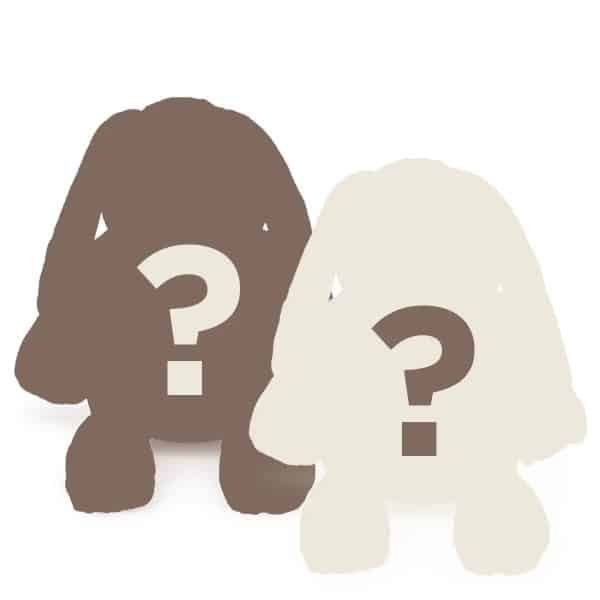 Mystery Scentsy Buddy 2-pack