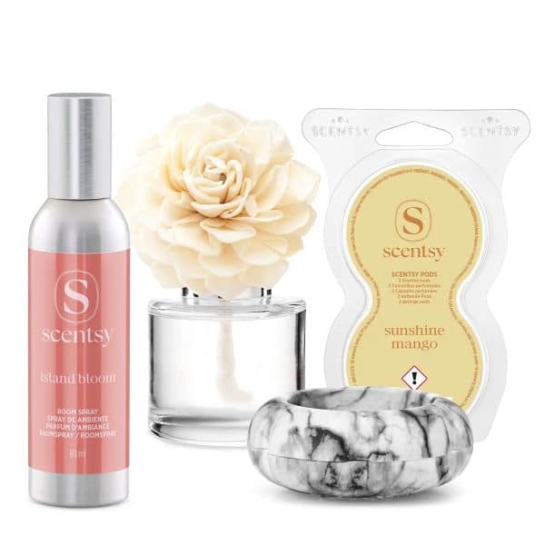 Summer Breeze Scentsy Bundle