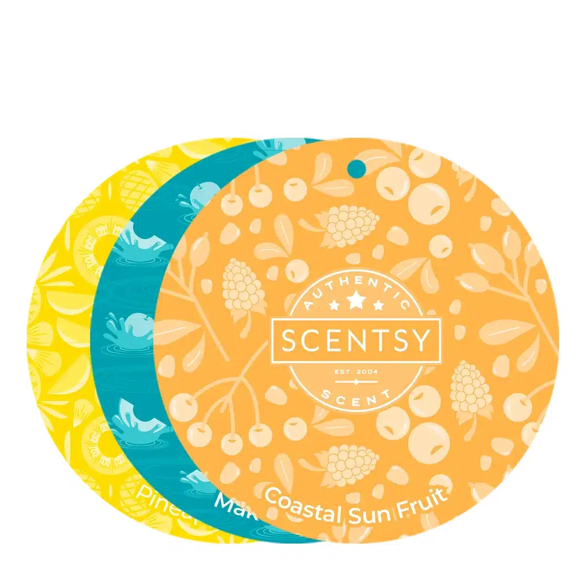 Sun-Soaked Scent Circle Trio Sun-Soaked Scent Circle Trio