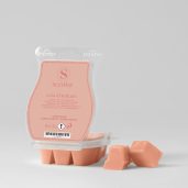 Aria di Milano Scentsy Bar Styled