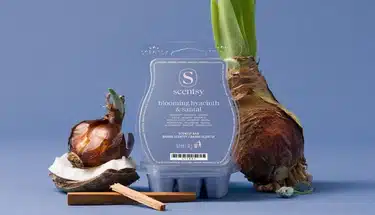 Blooming Hyacinth & Santal Scentsy Bar
