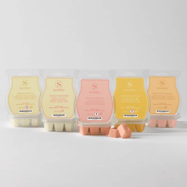 Italian Summer Scentsy Bar 5-Pack
