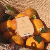 Mercato di Napoli Scentsy Bar