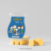 Peanuts™: Good Grief – Scentsy Bar