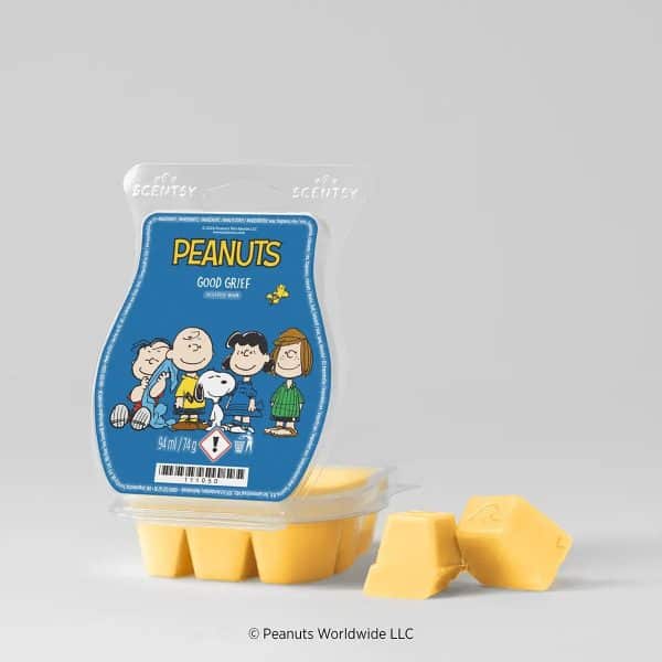 Peanuts™: Good Grief – Scentsy Bar