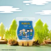 Peanuts™ Good Grief – Scentsy Bar Styled