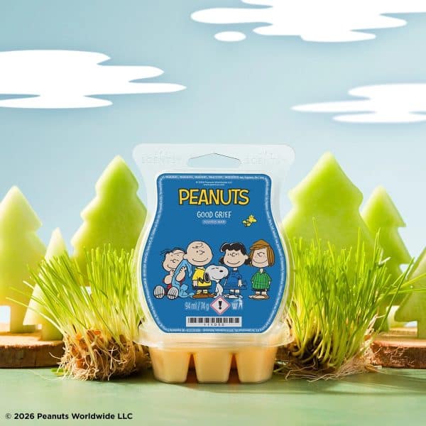 Peanuts™ Good Grief – Scentsy Bar Styled