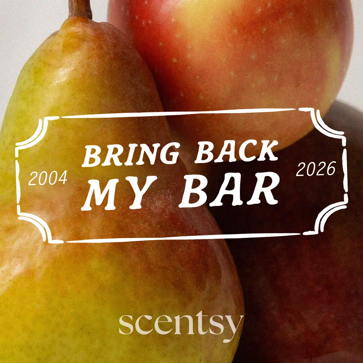 Scentsy BBMB Scentsy BBMB