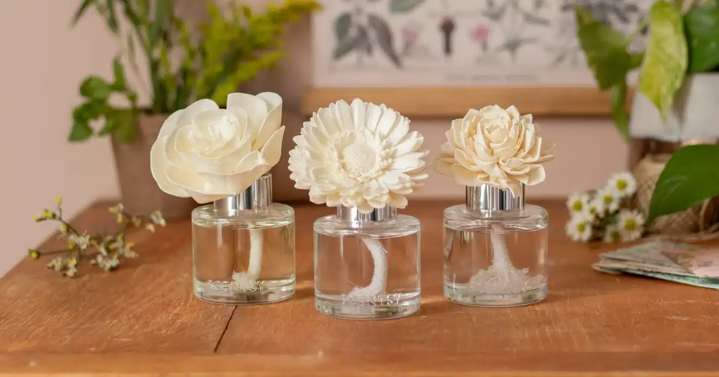 Scentsy Fragrance Flower Offer June 2026
