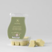 Cypress Forest Scentsy Bar