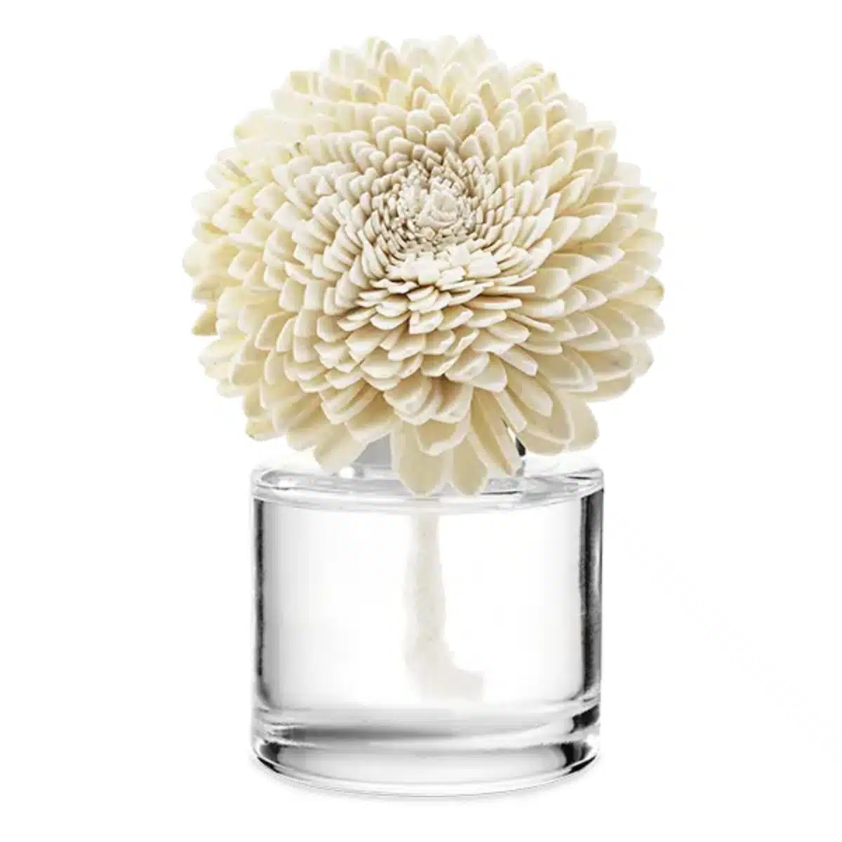 Kindness - Zinnia Zen Scentsy Fragrance Flower Kindness - Zinnia Zen Scentsy Fragrance Flower