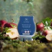 Lakeside Breeze Scentsy Wax Melts