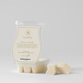 Silver-N-Gold Scentsy Bar