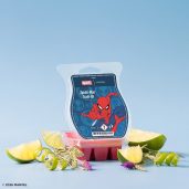 Spider-Man Team-Up – Scentsy Bar Styled