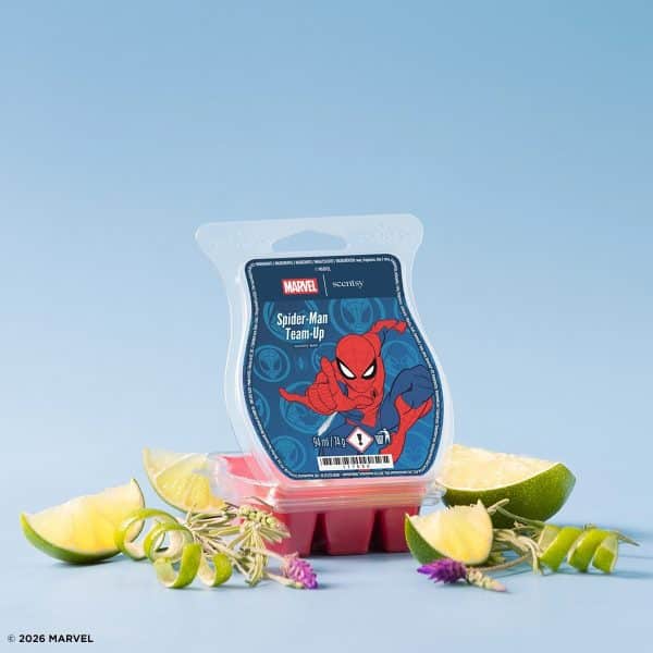 Spider-Man Team-Up – Scentsy Bar Styled