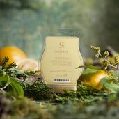 Sunlit Dock Scentsy Wax Melt
