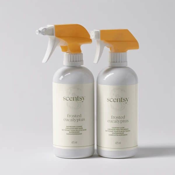 Autumn Cleaning Scentsy Bundle