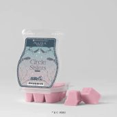 Circle of Sisters Scentsy Wax Bar