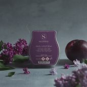 Dark Veiled Lilac Scentsy Bar