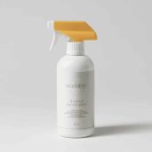 Frosted Eucalyptus Scentsy Counter Clean