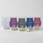 Halloween Scentsy 5 Bar Pack
