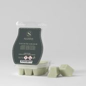 Lost In The Amazon Scentsy Bar