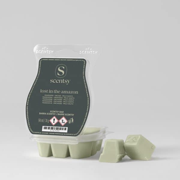 Lost In The Amazon Scentsy Bar