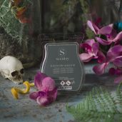 Lost In The Amazon Scentsy Bar Styled