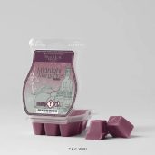 Midnight Margaritas Scentsy Wax Bar