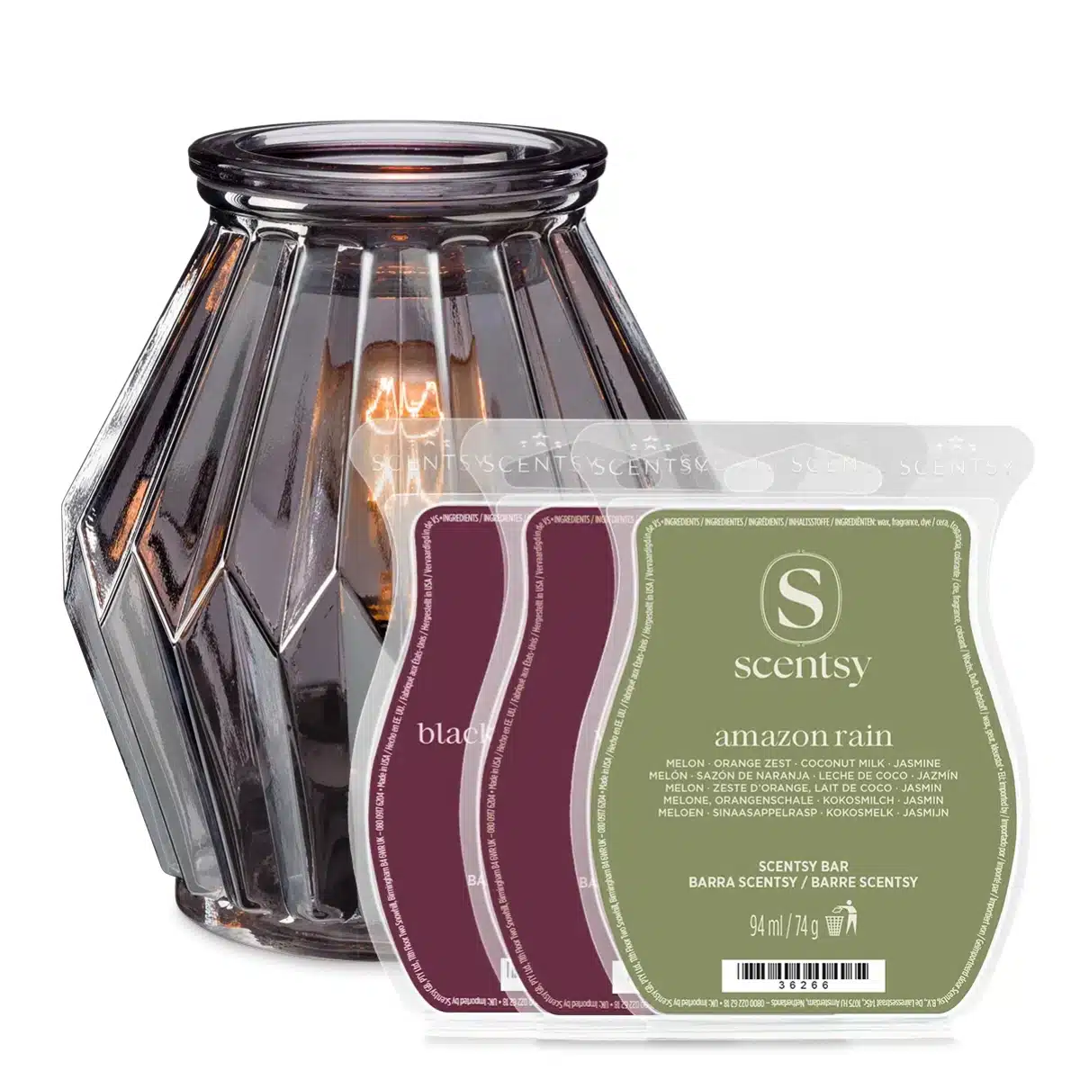 On & Off Campus Life Scentsy Warmer Bundle On & Off Campus Life Scentsy Warmer Bundle