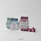 Practical Magic – Scentsy Wax Collection 2026
