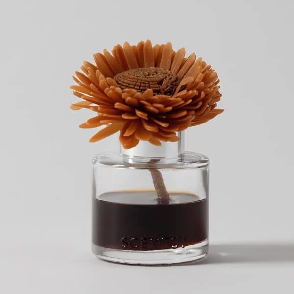 Pumpkin Oak - Stunning Sunflower Fragrance Flower