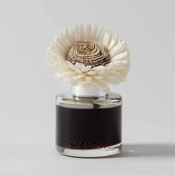 Pumpkin Oak – Stunning Sunflower Fragrance Flower New