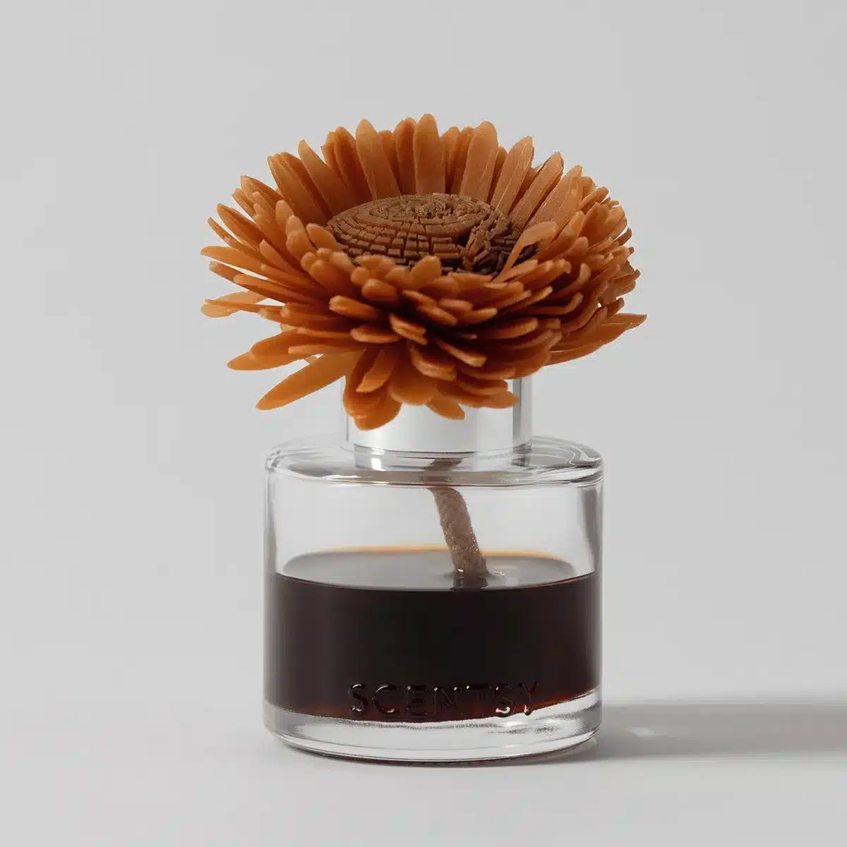 Pumpkin Oak - Stunning Sunflower Fragrance Flower Pumpkin Oak - Stunning Sunflower Fragrance Flower