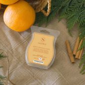 Spicy Citrus & Cedar Scentsy Bar Styled