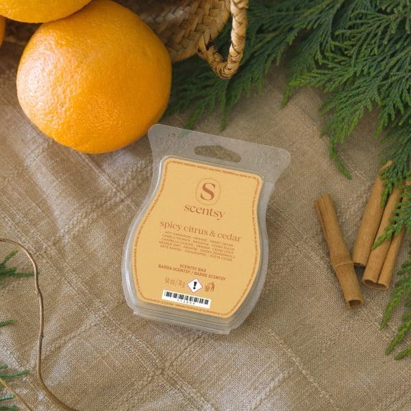 Spicy Citrus & Cedar Scentsy Bar Styled