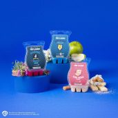 Ted Lasso – Scentsy Wax Collection New for 2026
