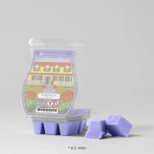 Dragonfly Inn Gilmore Girls Scentsy Wax Bar