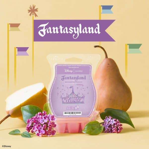 Fantasyland Scentsy Wax Wax Melt Fantasyland Scentsy Wax Wax Melt