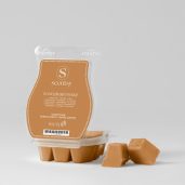Iced Gingersnap Scentsy Wax Bar