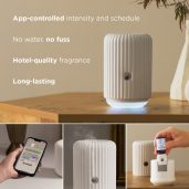 Scentsy Solo Diffuser & One Fragrance Cartridge Bundle Info Graphic